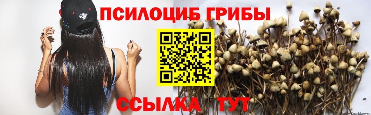 Галлюциногенные грибы Cubensis  Вход с VPN  Ливны 